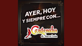 Video thumbnail of "Cardenales de Nuevo León - Belleza De Cantina"