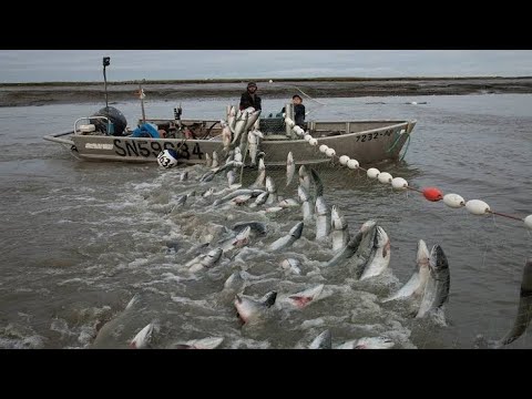 Video: Jinsi Ya Kuchagua Vifaa Vya Uvuvi