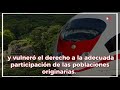 COMUNIDADES MAYAS OBTIENEN TRES SUSPENSIONES CONTRA OBRAS DEL TREN MAYA