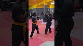 🥋 Entrega de energia lateral com Kiba Dachi ⚡A força não vem dos braços. #karatejutsu