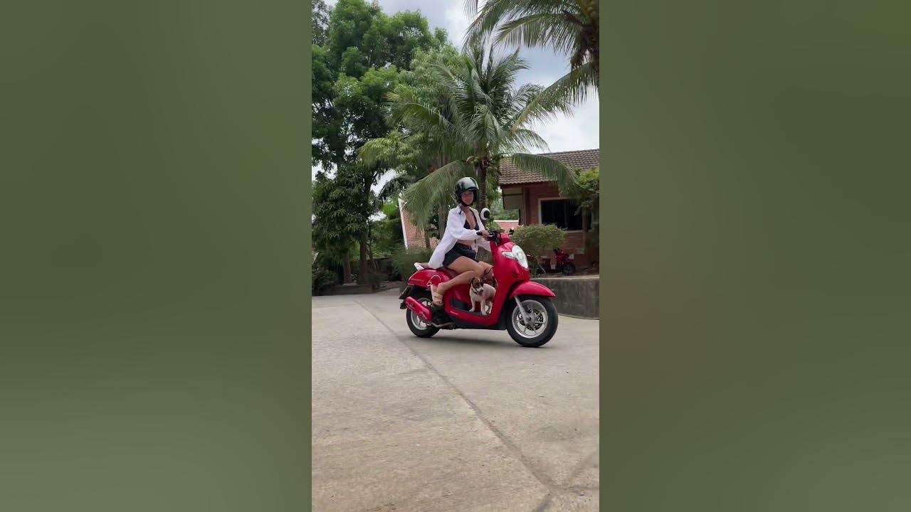 Байки на пхукете. Байк с дополнительным колесом пхукет раваи. Скоростной мотоцикл в тайланде. Скутер в тайланде. Аренда байка пхукет 2023.