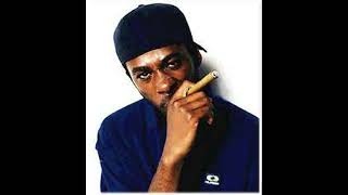 GZA / The Genius mix (full mix)