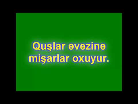 Video: Bir şüşə Tabutda Meşə