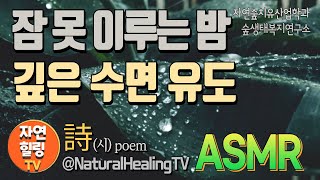 푸른 바나나 잎 위의 빗방울 ASMR: 깊은 수면과 명상을 위한 자연 소리 EP. 158