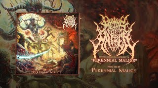 HEIRS OF HATRED - PERENNIAL MALICE [OFFICIAL EP STREAM] (2023) SW EXCLUSIVE