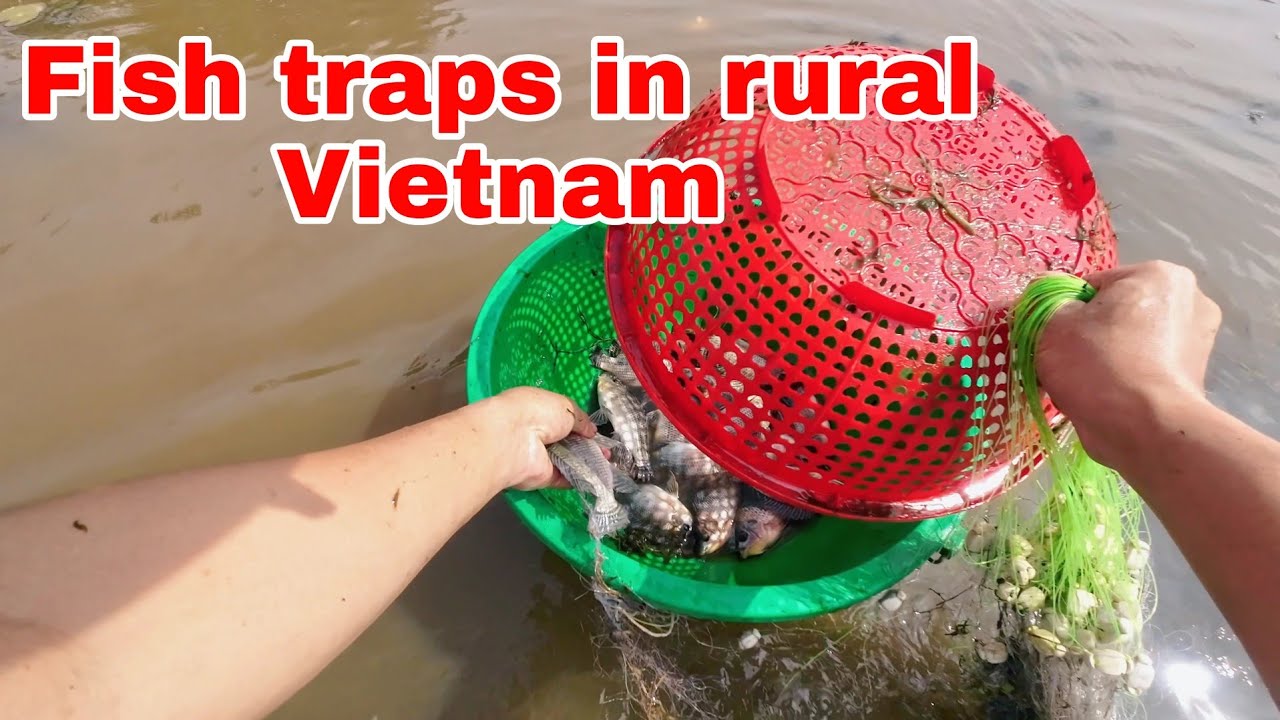 What would a day be like visiting fish traps in poor rural Vietnam?