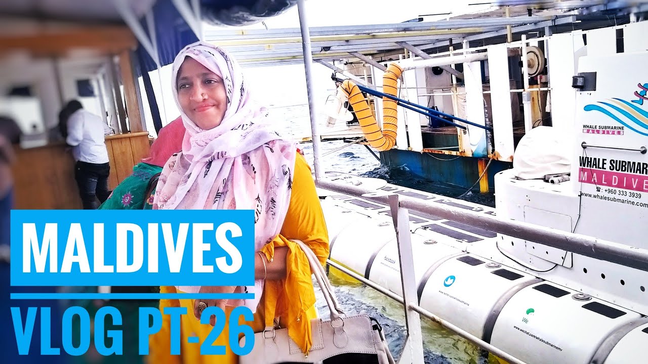 Whale Submarine Maldives Maldives Submarine Tour Pt 26 Price
