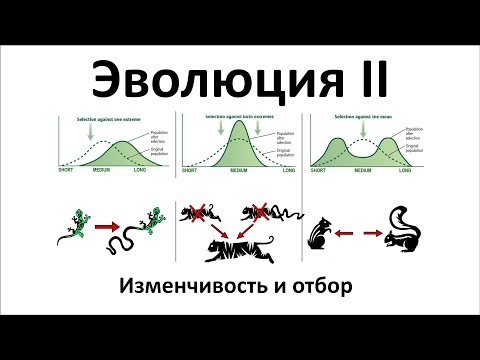 Видео: Връзки между аероалергенните нива и болничните приеми за астма в региона на Брюксел - столица: ежедневен анализ на часовите серии