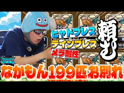 【ドラクエウォーク】なかもん199匹お別れ‼︎グラマスに返り咲くために良い継承玉が欲しい！！『雨の日もスカウトしに行く』【なかまモンスター】【DQW】