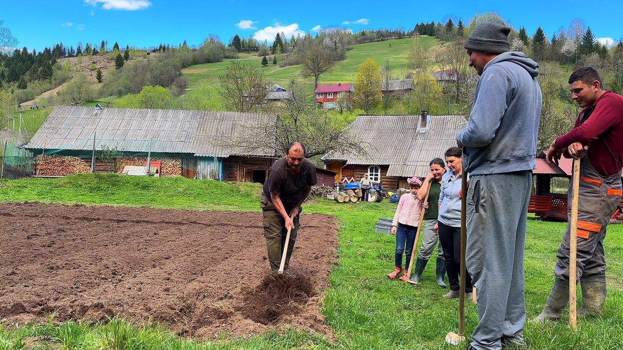 Epic Family Day in the Carpathians! Grandpa Plows, Kids Plant & Grandma Feeds Everyone ⛰️🚜🍽️