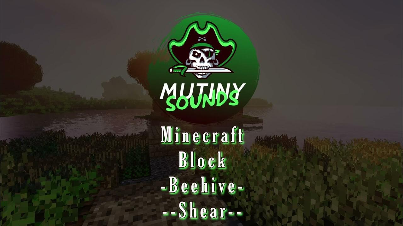 Shear Beehive (Minecraft Block) YouTube