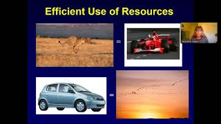 8 - Population Ecology: Spatial Variation in Populations.