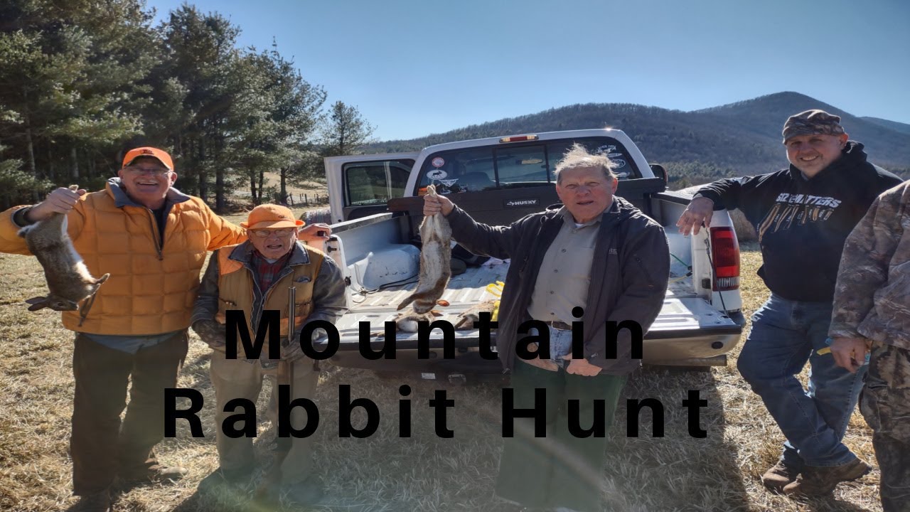1 Awesome 2022 Mountain Rabbit Hunt with Beagles - YouTube