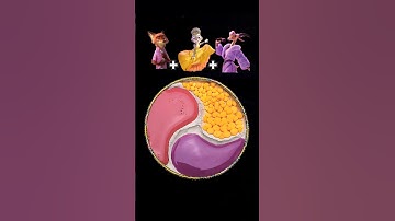 Oddly Satisfying Color Mixing🐰Zootopia Characters Challenge #shorts #zootopia2 #satisfying #zootopia