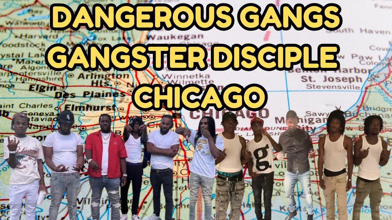 The Hidden Dangers of the Gangster Disciple Gangs in Chicago