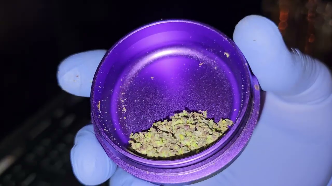 Higashi by The Brave Farmer 🔥💯 