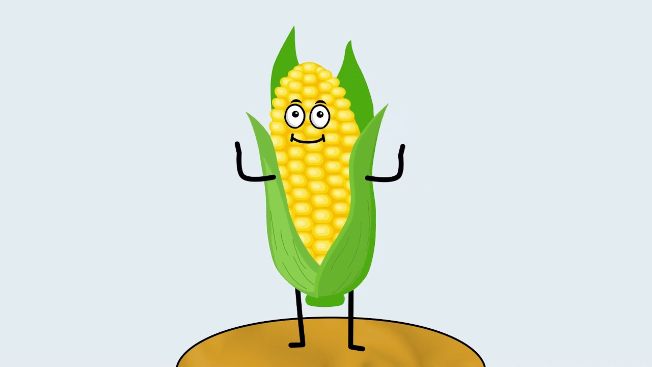 Дитяча Руханка, Фізкультхвилинка "Corn Dance" - YouTube