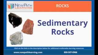 Detailed Rocks - Sedimentary Rocks Profile