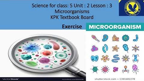 science for class 5 unit 2 lesson 3