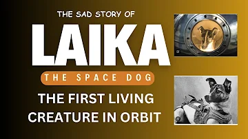 LAIKA: The Space Dog| The First Living Creature in Orbit| The Search TV