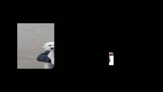 Ünlülerin Eski Meslekleri