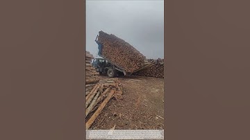 Truck tipper unloading timber process