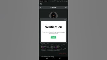 Roblox Verification in a Nutshell