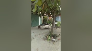 Đất Nền Thổ cư hết, MT QL N2, Hoà Khánh Đông, Đức Hòa, Long An: 5 x 49 .lh 0937137500 chi tiết