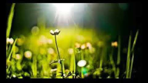 وبرزوا لله جميعا تلاوة جميلة جدا