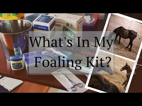 Video: Das Essential Foaling Kit für den Erstbesitzer