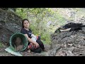 Digging up thorny tree roots to sell  making windows for bamboo houses  tieu ca tv