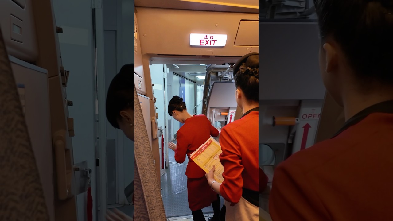 Close Airbus 319 Cabin Door 