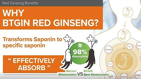 Emzyme Fermented Korean Red Ginseng - BTGin 5th Generation Red Ginseng