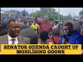 Kisumu Senator Tom Ojienda Exposed For Mobilizing Goons To Beat Up Mourners At A Funeral