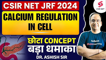 CSIR NET 2024 | Life Science | Blood Calcium Regulation in cell | Important Topic | Dr Ashish Gupta