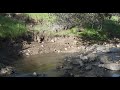 How To Listen To Water by Lucas & Aldo