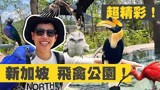 亞洲最大鳥類樂園!超過400種美麗鳥兒就在身邊!自在飛翔~精彩猛禽秀!新加坡必去景點!
