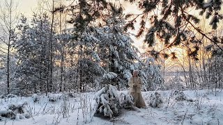 Зимой в платье УДОБНО?