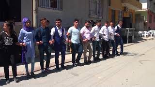 Ronida Müzik Mersin Agit In Düğünü Grani 2018