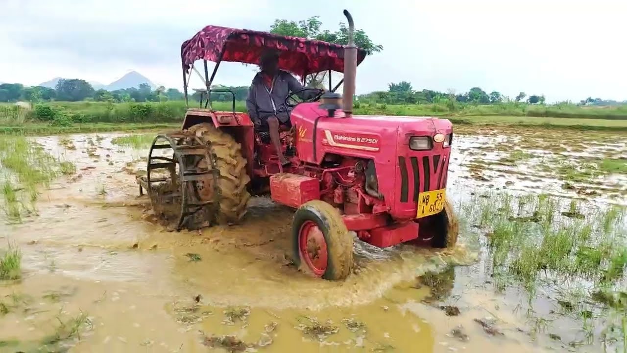ट्रैक्टर से खेत की जुताई | plowing rice field with tractor
