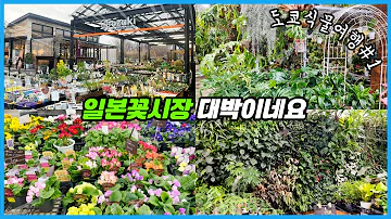 헉 소리나는 일본 꽃시장 예쁜 식물에 놀라고 가격에 놀라고 도쿄식물여행 1탄