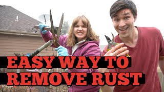 Clean Rusty Garden Tools With Only ONE INGREDIENT!