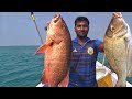 ஆயிரம் கால் துண்டிலில் மீன்கள் பிடிக்கும் நேரடி காட்சி/Live fish catching on Thousand foot bait