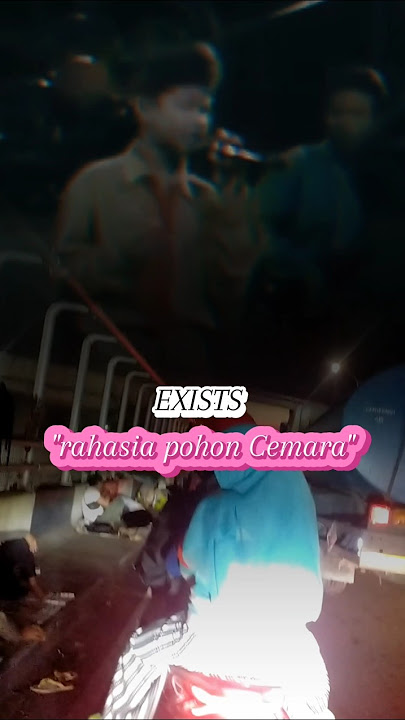 EXISTS🎶 RAHASIA POHON CEMARA#musikviral#trending#soundviral#shorts#viral