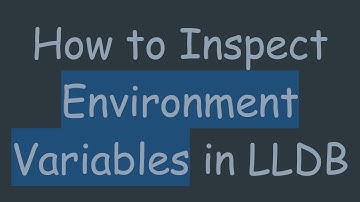 How to Inspect Environment Variables in LLDB