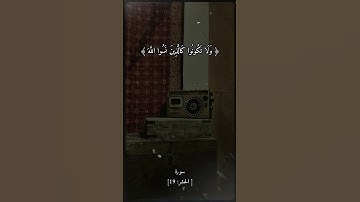 سورة الحشر بصوت الشيخ علي جابر رحمه الله #قرآن #قران_كريم #راحه_نفسيه #الشيخ_علي_جابر #funny #fyp