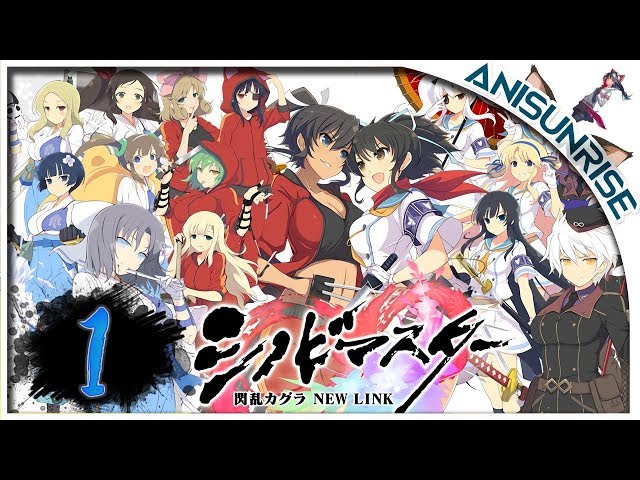 Qoo Guide] Starters Guide for Shinobi Master Senran Kagura: New Link