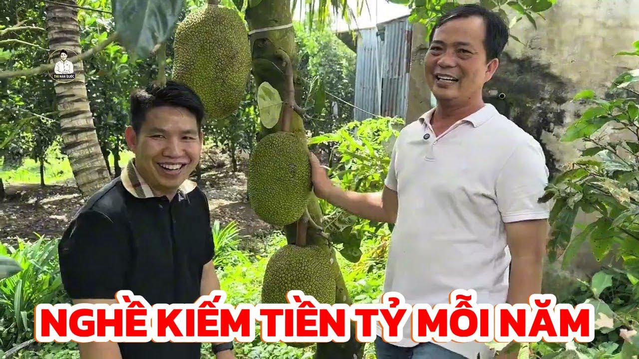 Tận mắt chứng kiến bí mật trồng mít ruột đỏ, nghề kiếm tiền TỶ mỗi năm  | Thi Hàn Quốc 