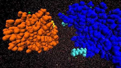 Protein-protein binding pathway using fully-continuous, explicit-solvent simulations