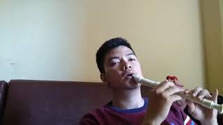 Zayn Ft Sia - Dusk till dawn flute/recorder cover